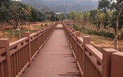 毕节防腐木景观木桥